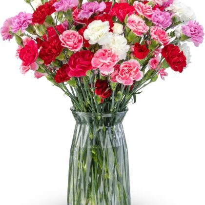 Benchmark Bouquets - 20 Stem Rainbow Mini Carnations (Glass Vase Included) - Fresh Flowers for Next Day Delivery - Gift for Birthday, Anniversary, Get Well, Sympathy, Congratulations, Valentine's Day