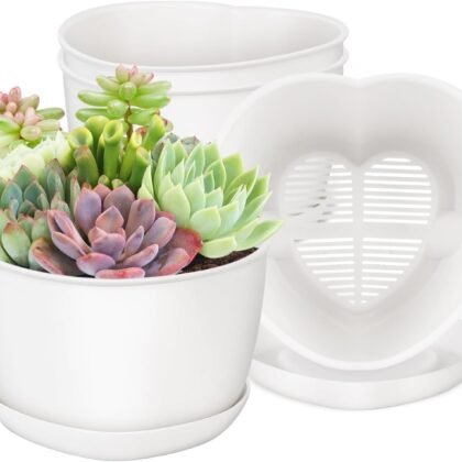 Succulent Pots Heart-Shaped Shallow Herb Planters with Drainage Hole - 4 Packs Cactus Planter for Home Office Garden Plants Pot Present - Plants Not Included (Off White)