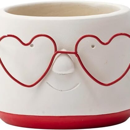 Napco Imports Indoor Outdoor Plant Succulent Herb Flower Pot 2.5 Inch Concrete Heart Glasses Face