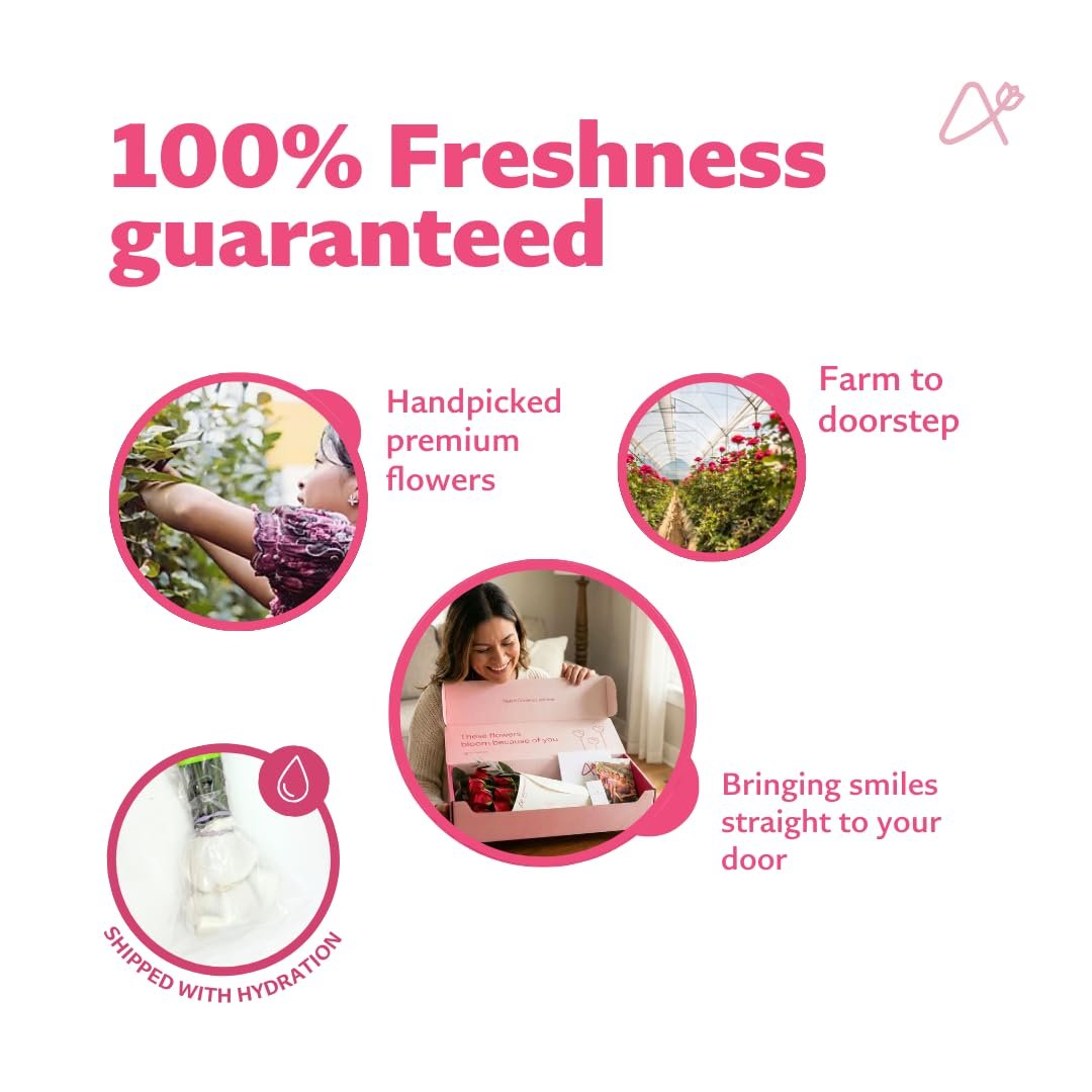 Aquarossa Farms – Flowers for Delivery, Fresh Flowers Bouquet, Handpicked from the Farm, Gift for Birthday, Anniversary, or Just Because – 24 Stem Peruvian Lilies - Image 5