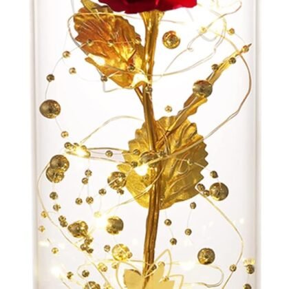 Valentines Day Gifts for Her,Valentines Gifts for Women,Flowers for Delivery Prime,Flower Galaxy Artificial Flower Light Up Rose in A Glass Dome,Anniversary Mothers Day, Birthday Gifts