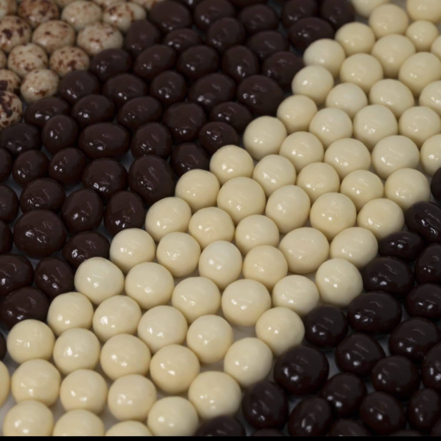 Dilettante Espresso Blend Espresso Beans In Semisweet, Milk and White Chocolate, 5 Pound - Image 5