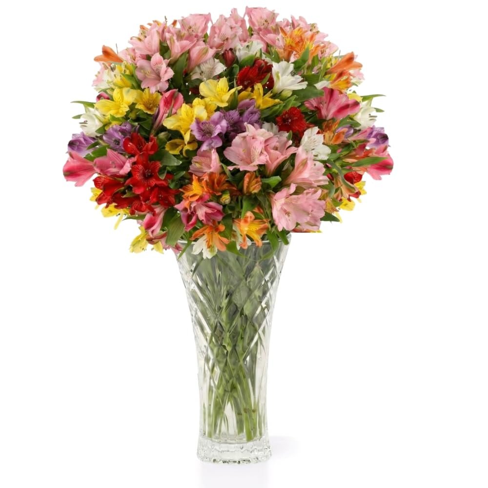 Aquarossa Farms – Flowers for Delivery, Fresh Flowers Bouquet, Handpicked from the Farm, Gift for Birthday, Anniversary, or Just Because – 24 Stem Peruvian Lilies