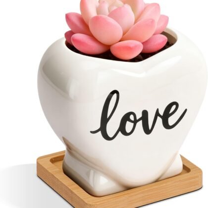 T4U Succulent Pots, 3.9 Inch Succulent Planters with Drainage, Small Cute Plant Pots for Windowsill, Funny Ceramic Plant Pots, Thank You Gift for Teacher, Mom, Friend, for Coworkers