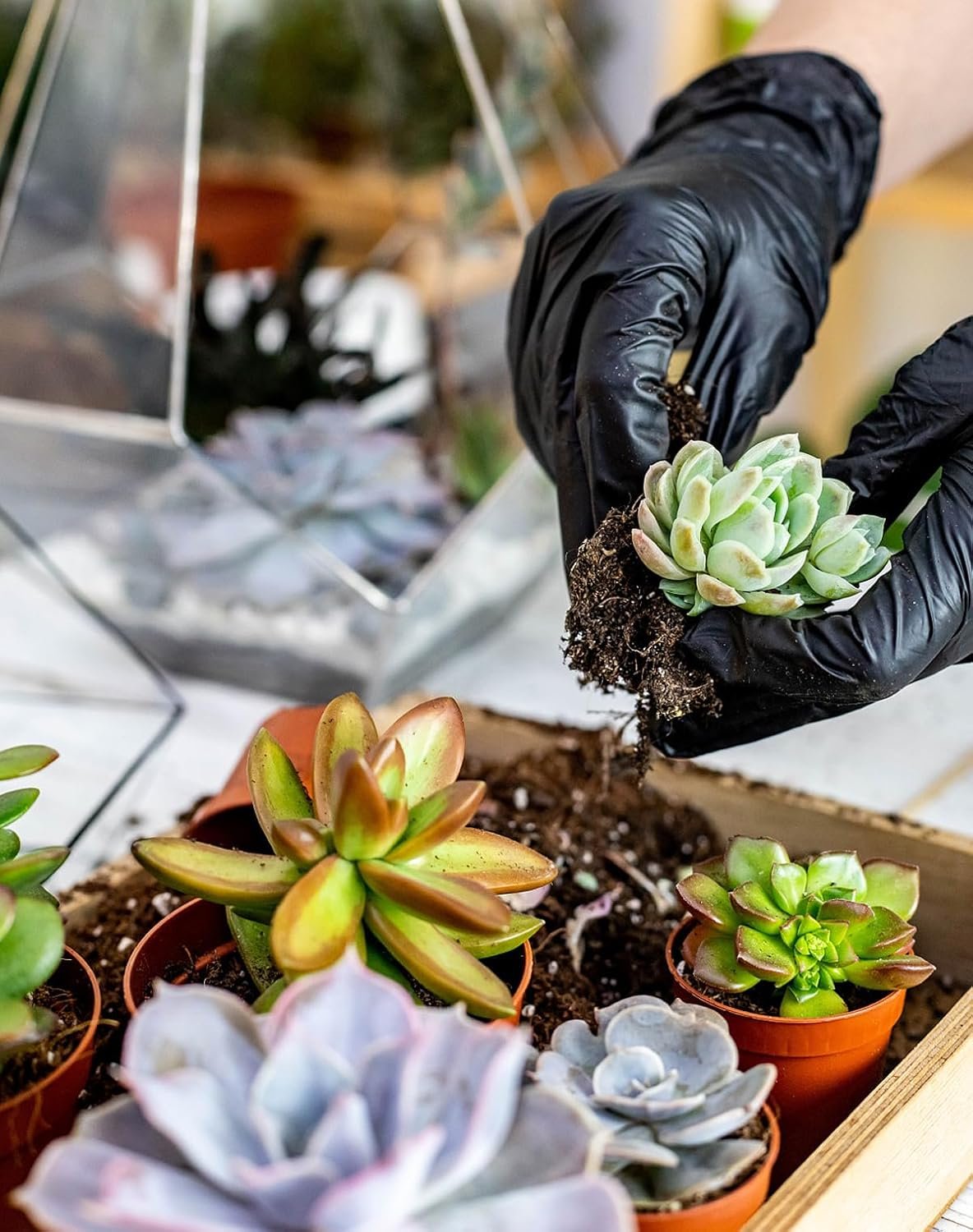 Melphoe 25Pcs Mini Garden Hand Transplanting Succulent Tools Set, 39.4" Thickened Repotting Mat & Plant Tag, Miniature Planting Indoor Fairy Care, Potting, Cactus, Houseplant Bonsai Tool Kit (Black) - Image 3