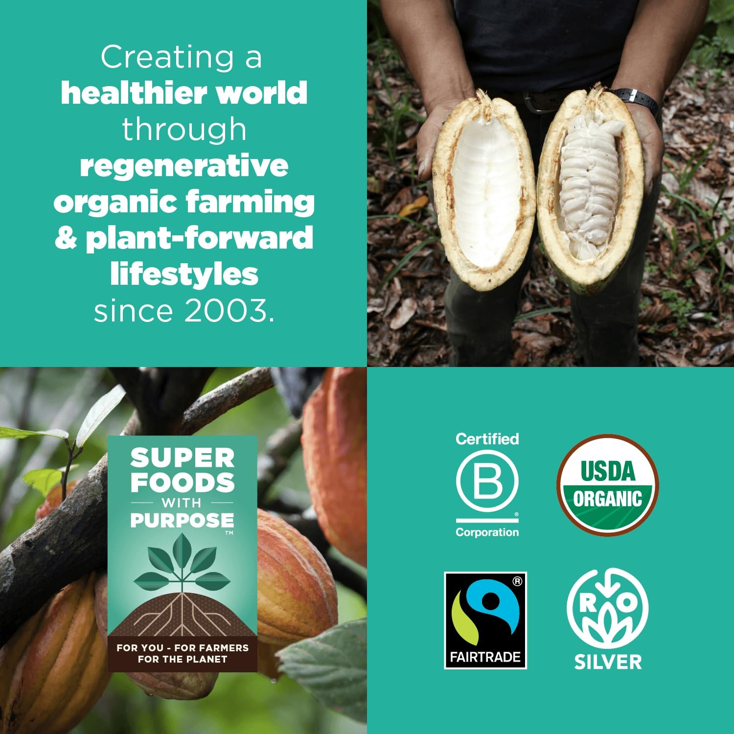 Navitas Organics Cacao Powder - Cocoa Powder Substitute 1:1, For Hot Chocolate, Baking & More - Regenerative Organic Certified, Non GMO, Fairtrade, Gluten Free, Non-alkalized (24oz. Bag, 113 Servings) - Image 5