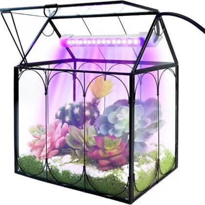 Plant Terrarium Kit with Grow Light, Rifny Small Glass Terrarium Jar with Absorbent Mat and Lid for Venus Fly Trap Succulent Live Air Plants Indoor Home Office Decor (Black, 7.1 x 4.8 x 8.8 inch)