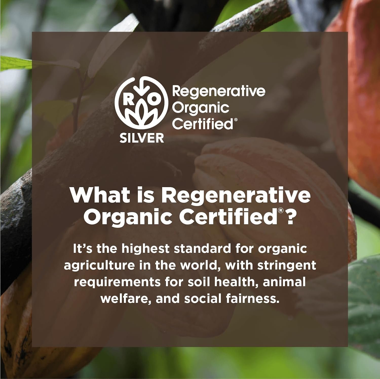 Navitas Organics Cacao Powder - Cocoa Powder Substitute 1:1, For Hot Chocolate, Baking & More - Regenerative Organic Certified, Non GMO, Fairtrade, Gluten Free, Non-alkalized (24oz. Bag, 113 Servings) - Image 6