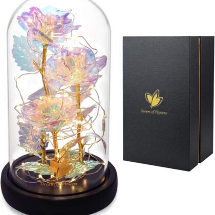 Valentines Gifts for Her,Birthday Gifts for Women,Colorful Flowers Rose in Glass Dome,Galaxy Flowers Rose with 2 Lighted Mode,Rainbow Rose Flower Gifts for Women,Valentines Gifts for Girlfriend