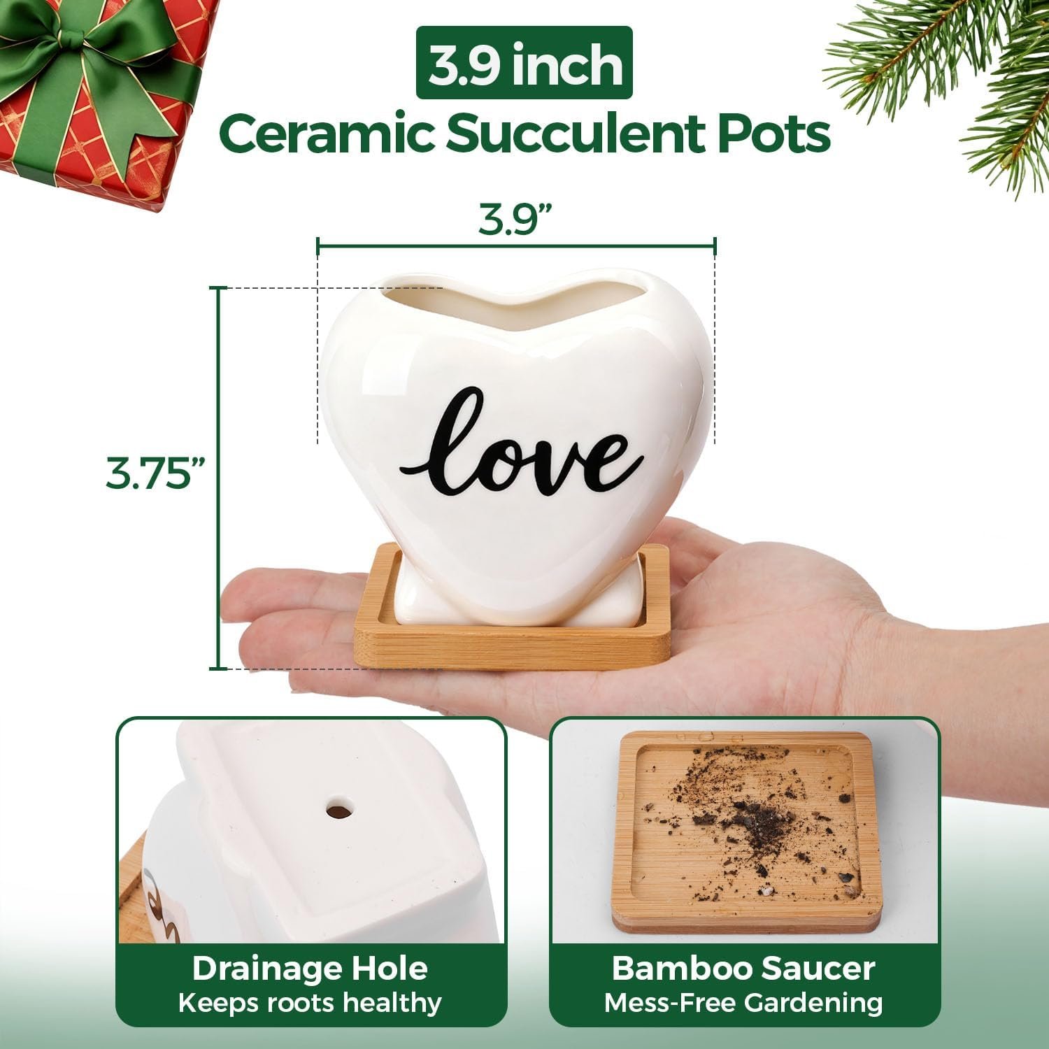 T4U Succulent Pots, 3.9 Inch Succulent Planters with Drainage, Small Cute Plant Pots for Windowsill, Funny Ceramic Plant Pots, Thank You Gift for Teacher, Mom, Friend, for Coworkers - Image 3