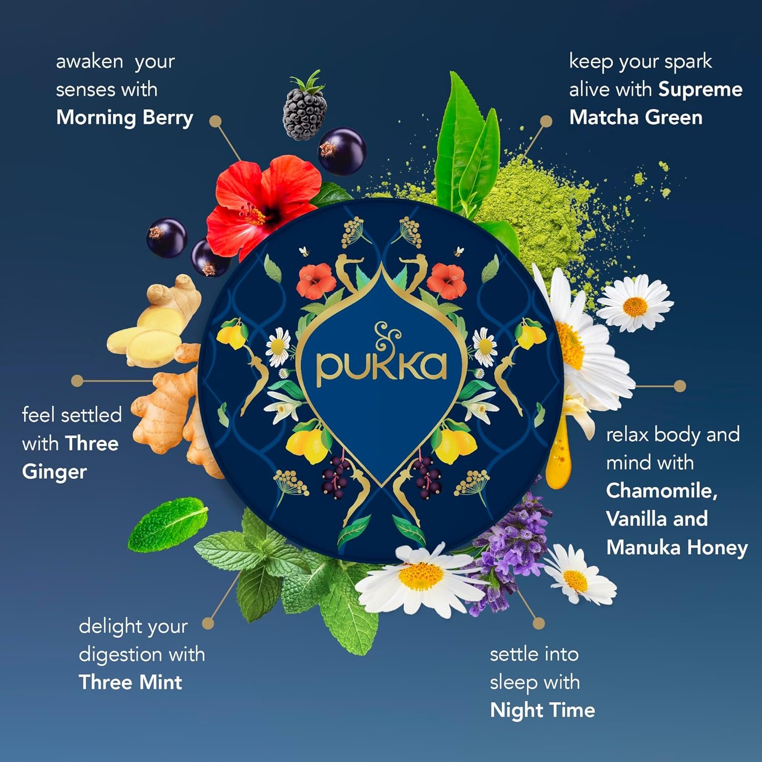 Pukka Luxury Herbal Tea Sampler Box, Organic Tea For Everyday Wellness, Ideal Gift Set for Special Occasions, Holidays, Birthdays & Anniversaries, 90 Teabags, 6 Premium Flavors, Caffeine Free - Image 3