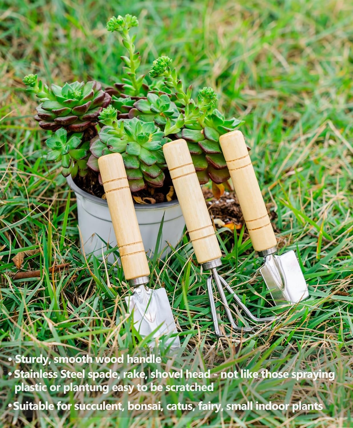 Josteve Plant Repotting Mat, 5Pcs Succulent Tools Mini Garden Small Gardening Tools Indoor, Pruning Shear Gardening Scissor, Hand kit for Bonsai, Cactus, Fairy, Houseplant Transplanting, Seedling - Image 5