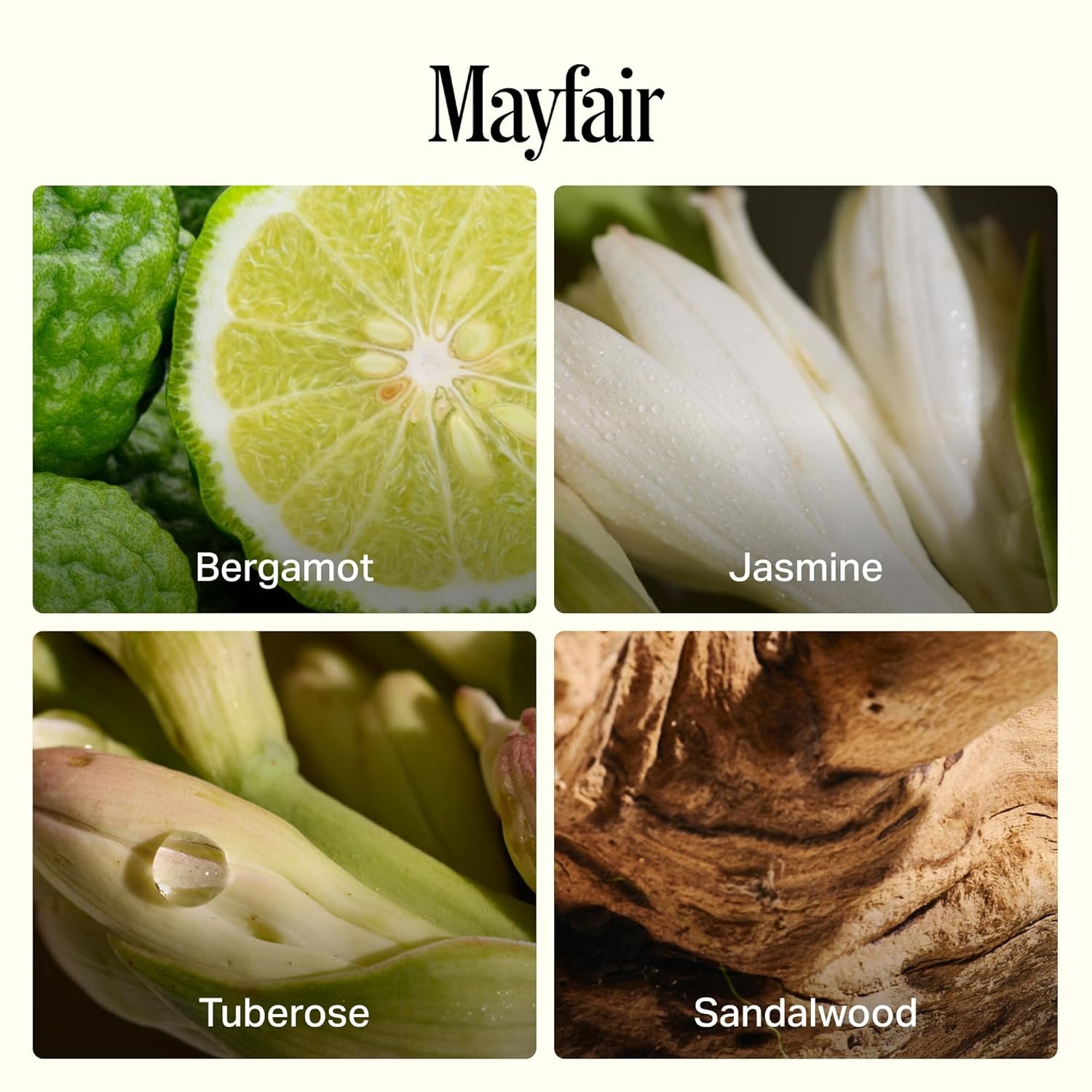 Preston Lane Hand Soap & Lotion Set, Mayfair Scent – Hydrating Hand Wash and Moisturizing Hand Cream Duo | Clean Ingredients, Vegan & Cruelty Free Bathroom and Kitchen Essentials Gift Set - Image 5