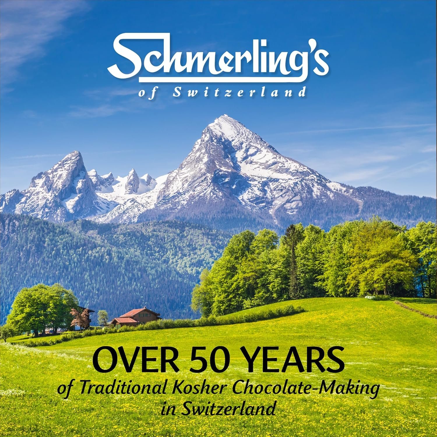 Schmerling's Minor Premium Swiss Chocolate Bars - Crunchy Milk Chocolate Candy Bars with Roasted Hazelnuts - GMO-Free, Kosher for Passover OU - 22g Each - Bulk (Pack of 30) - Image 6