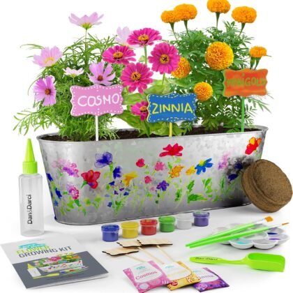 Dan&Darci Paint & Plant Flower Growing Kit for Kids - Easter Gift Ideas Age 5 6 7 8-12 Year Old Girl - Birthday Crafts Gifts for Girls & Boys, Fun Gardening Kits, Art Projects for Ages 5-12 Years