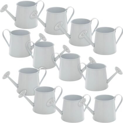 Fun Express Mini Watering Can Tabletop Decorations - 12 Pieces - Great for Spring and Garden Home Decor, Weddings and Other Table Centerpieces