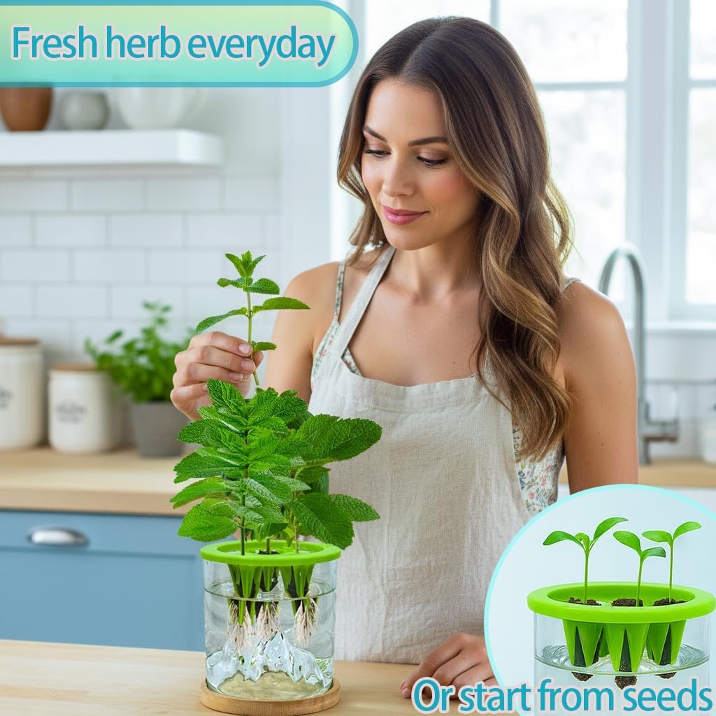 Versatile Plant Propagation Station Vase Hydroponic Planter Pot,Glass Plant Terrarium Kit,Fresh Indoor Herb Garden Kit| Christmas Birthday Gift for Gardener Women Mom Garden Lover | Home Office Decor - Image 3