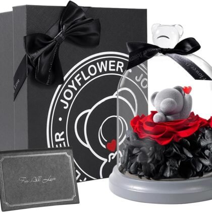 JoyFlower Preserved Flowers with Teddy Bear in Glass Gift, Eternal Rose Gifts for Girlfriend, Preserved Rose Bear with Gift Box for Wife Mom Her on Birthday, Valentine's Day, Mother's Day, Anniversary