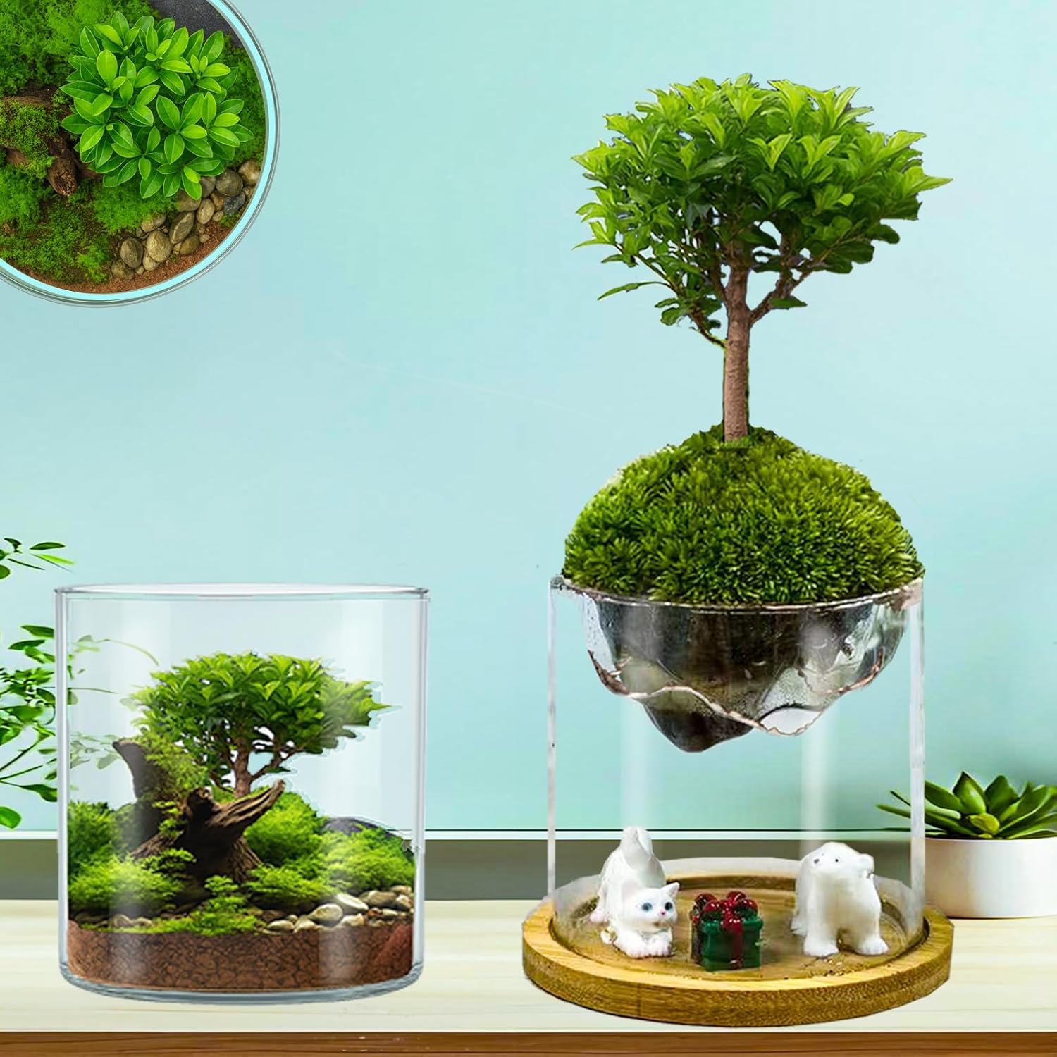 Versatile Plant Propagation Station Vase Hydroponic Planter Pot,Glass Plant Terrarium Kit,Fresh Indoor Herb Garden Kit| Christmas Birthday Gift for Gardener Women Mom Garden Lover | Home Office Decor - Image 8