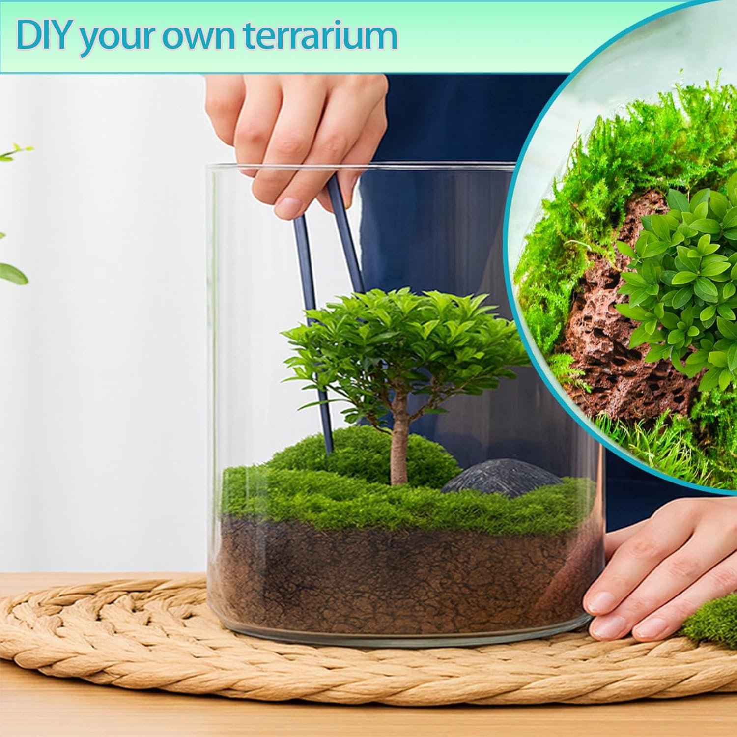 Versatile Plant Propagation Station Vase Hydroponic Planter Pot,Glass Plant Terrarium Kit,Fresh Indoor Herb Garden Kit| Christmas Birthday Gift for Gardener Women Mom Garden Lover | Home Office Decor - Image 5