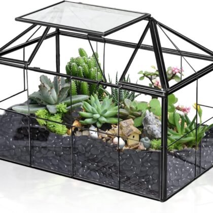 Ferrisland Glass Terrarium Greenhouse House Shape Display Box Planter for Succulents Plant Terrarium Container Mordern Tabletop Decor Gardern DIY Kit