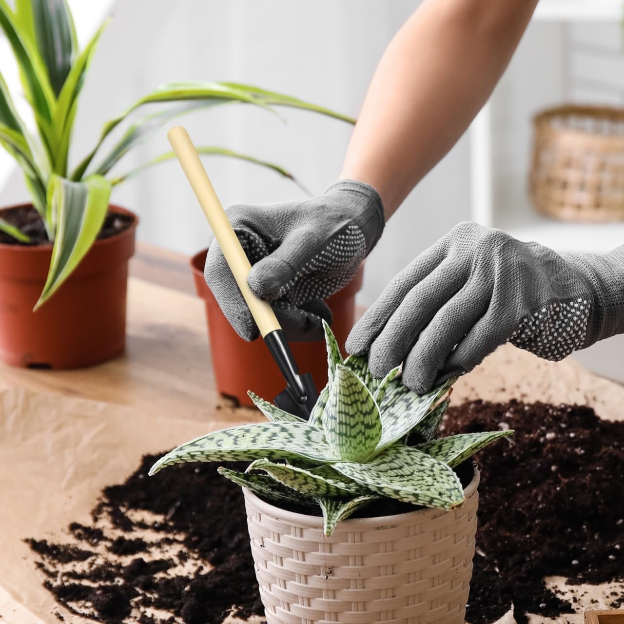 Garneck 8 Sets Mini Gardening Tools with Metal Rake Trowel and Shovel - Succulent Potting Planting Kit for Indoor - Small Gardening Tools for Cultivating Weeding Transplanting - Image 4