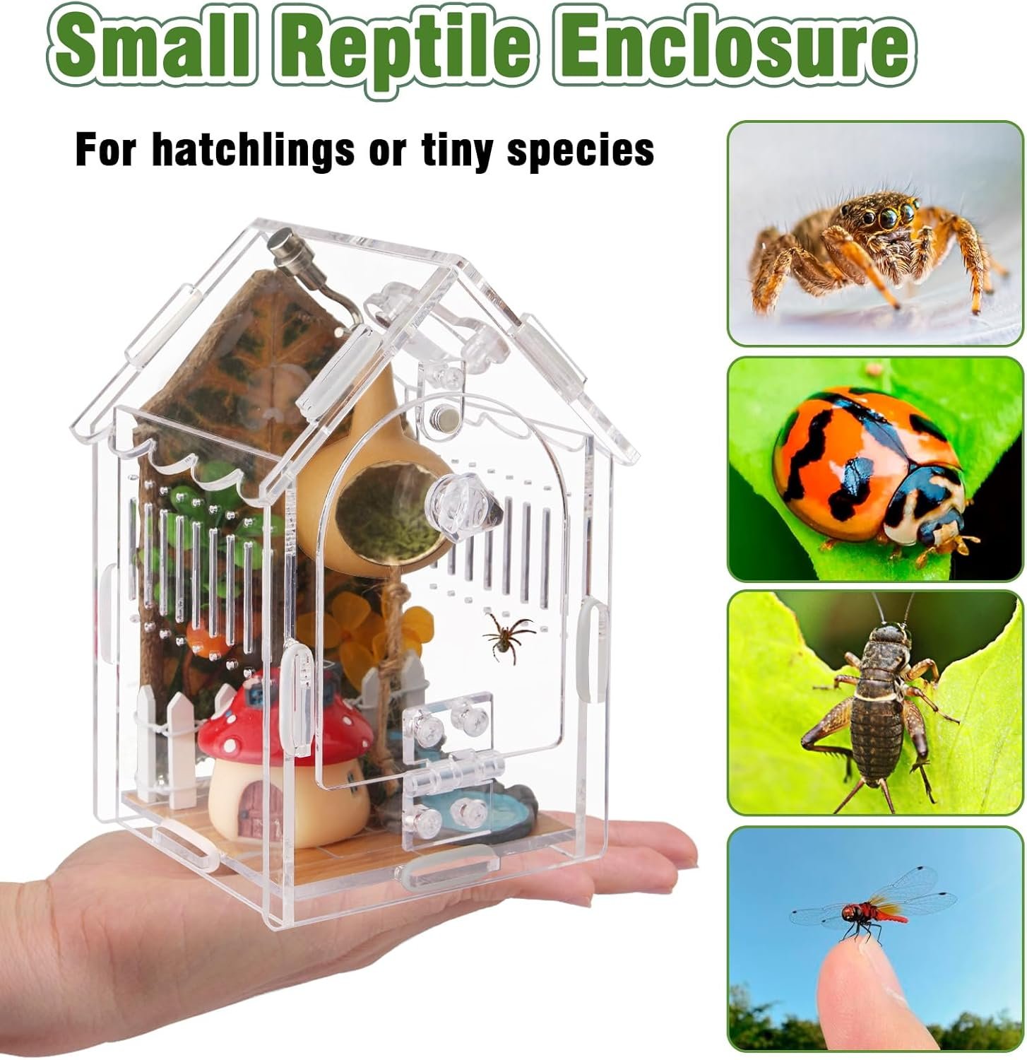 Jumping Spider Enclosure - Internal Dimensions 3.15"x3.15"x5.6" Acrylic Terrarium Kit for Tarantulas/Mantis/Reptiles with Magnetic Door, Ventilation & Easy Assembly - Image 5