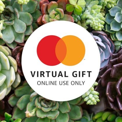 MasterCard Virtual eGift Card - $100 (plus $5.95 purchase fee) | For Online Use Only