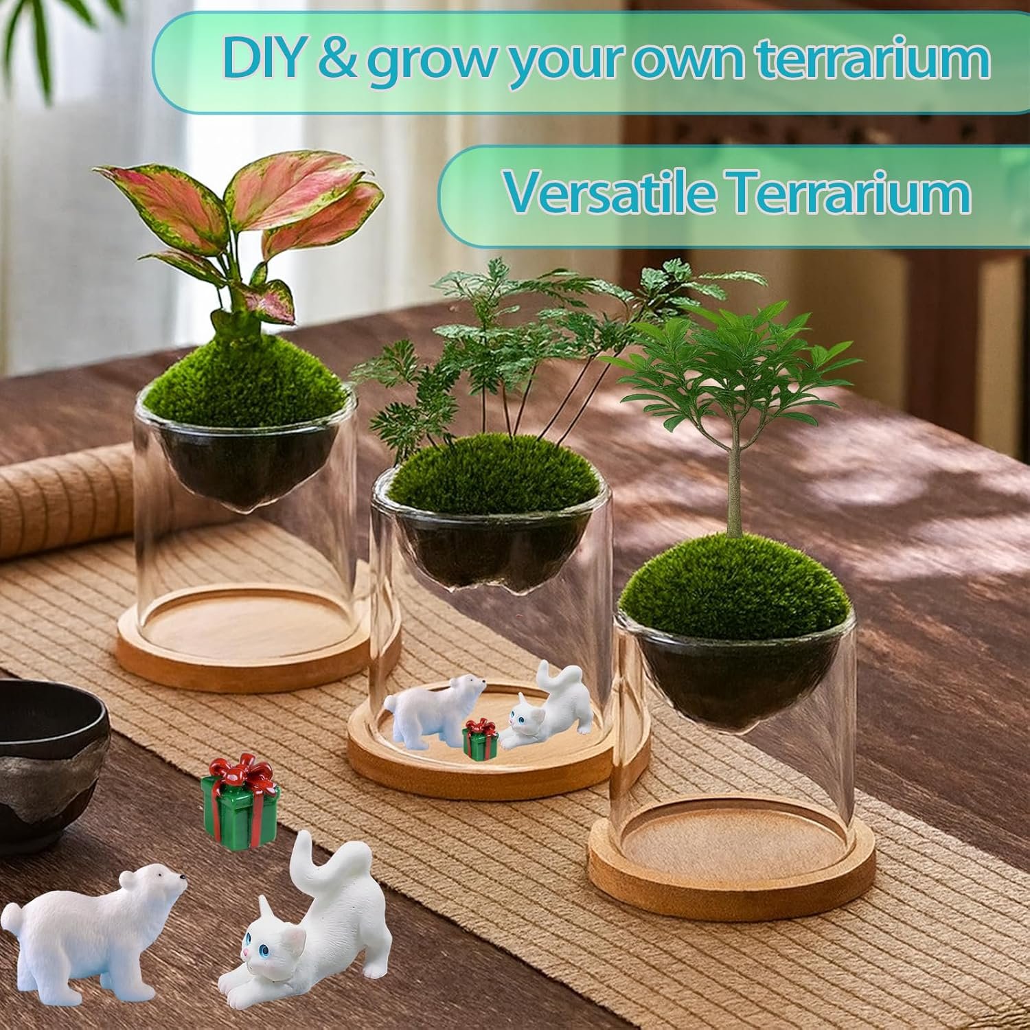 Versatile Plant Propagation Station Vase Hydroponic Planter Pot,Glass Plant Terrarium Kit,Fresh Indoor Herb Garden Kit| Christmas Birthday Gift for Gardener Women Mom Garden Lover | Home Office Decor - Image 4