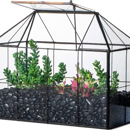 NCYP Glass Terrarium Planter with Lid for Small Succulent Plants, Grid House Shape Black Geometric Terrarium Pot, Home Garden Indoor Tabletop Decor, 9.84" x 5.31" x 7.87" (No Plants)