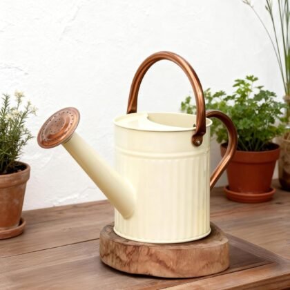 Bamworld Watering Can for Indoor Outdoor Plant Metal Watering Can with Removable Spout Embossd Design Plant Watering Devices Stainless Steel 1/2 Gallon Watering Cans Perfect Home & Garden Décor Creamy