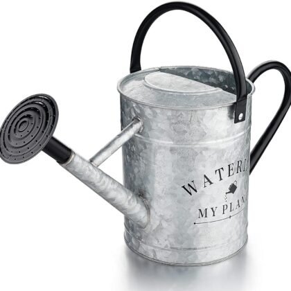 Galvanized Watering Can for Outdoor Indoor Plants, 1 Gallon Decorative Countryside Style Water Can with Removable Spout, Perfect Metal Watering Can for Indoor Plants and Garden Flower
