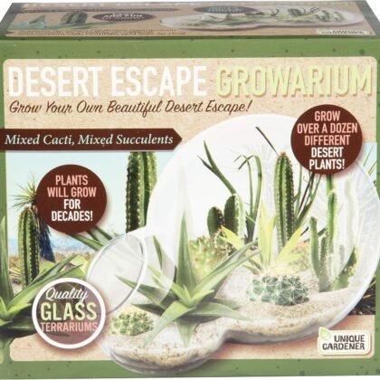 Grow Your Own Desert Escape in A Quality Glass Terrarium Starter Kit with Complete Supplies - Easy to Maintain Indoor Cacti and Succulents - Over A Dozen Desert Plants That Will Last for Years!